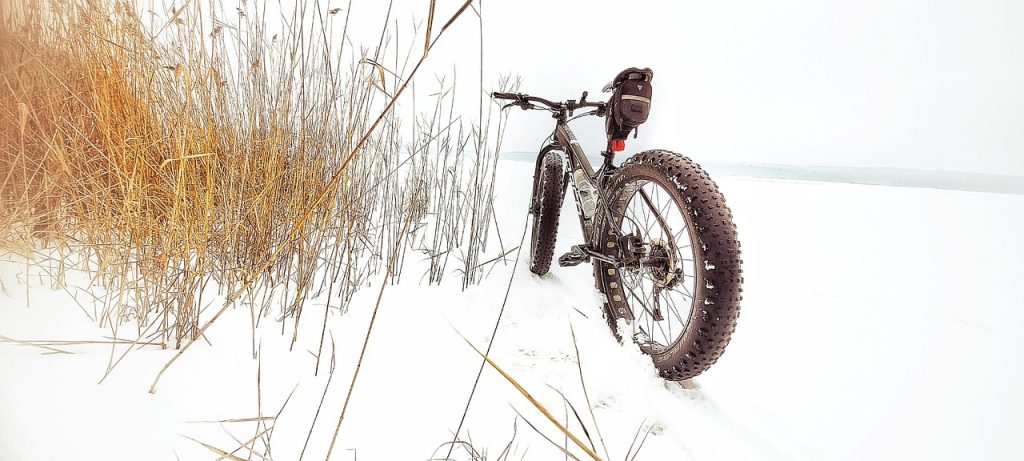 bike, snow, winter, fatbike, grass, dried grass, nature, frost, cold, lake, outdoors